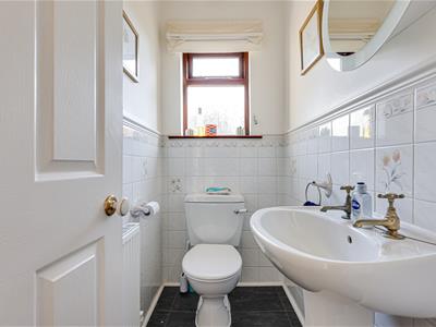 Picture 17